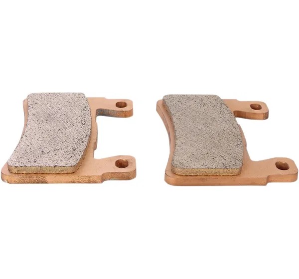 DP BRAKES Bremsbeläge & Bremsbacken für Harley Davidson FLFBS 1868 ABS 2018-2024