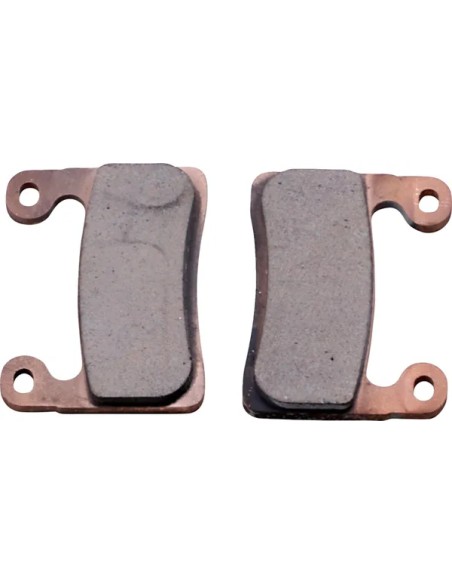 DP BRAKES Bremsbeläge & Bremsbacken für BMW R 1250 GS ABS 2019-2024