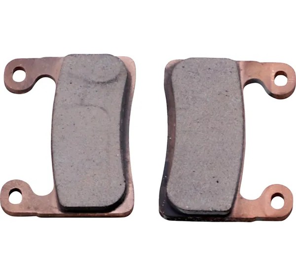 DP BRAKES Bremsbeläge & Bremsbacken für BMW R 1250 GS ABS 2019-2024