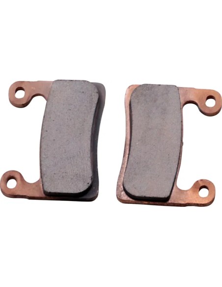 DP BRAKES Bremsbeläge & Bremsbacken für BMW R 1250 GS ABS 2019-2024