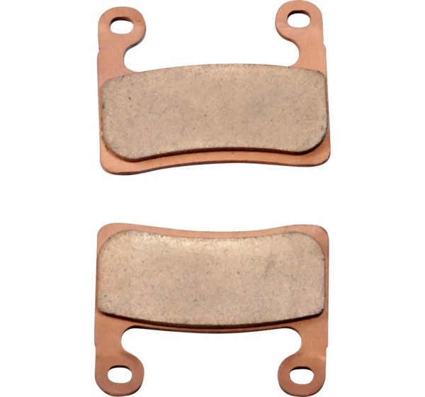 DP BRAKES Bremsbeläge & Bremsbacken für BMW R 1250 GS ABS 2019-2024