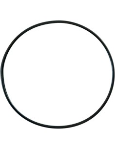 Ersatz-O-Ring für Wasserpumpendeckel