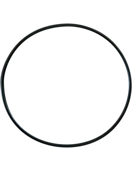 Ersatz-O-Ring für Wasserpumpendeckel