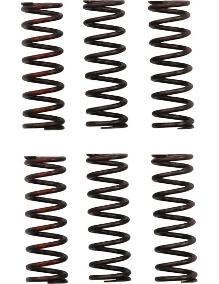 PRO CIRCUIT Kupplungen & Kupplungskomponenten für HONDA CRF 450 R 2021-2024