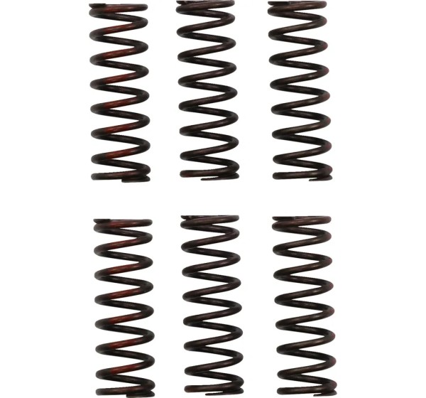 PRO CIRCUIT Kupplungen & Kupplungskomponenten für HONDA CRF 450 R 2021-2024