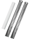 Gabelfedersatz