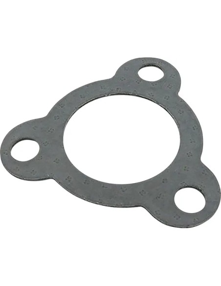 LEOVINCE Dichtungen - KIT GASKET GRAF 3 HOLES