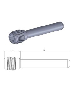 Bremssattelbolzen