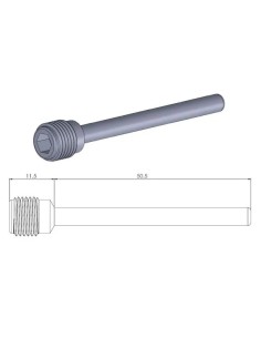 Bremssattelbolzen