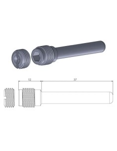 Bremssattelbolzen