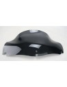 Windschild