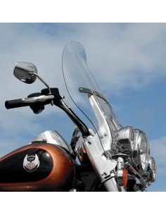 Windschild
