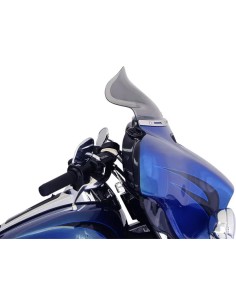Flare® Windschild