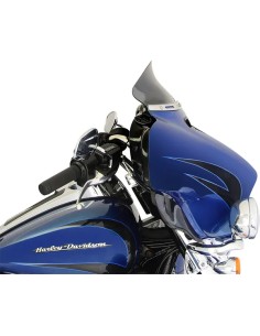 Flare® Windschild