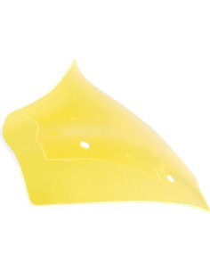Ice Flare® Windschutzscheibe