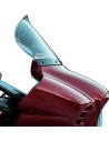 Flare® Windschild