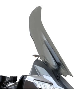 Flare® Windschild