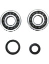 Kurbelwellenlager- und Dichtungssatz
