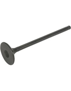 Motorventil