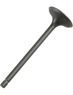 Motorventil
