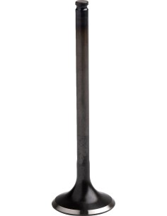 Motorventil