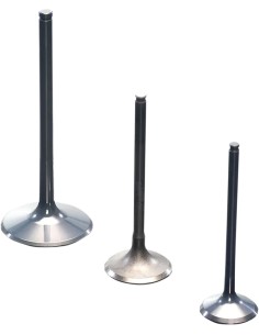 Titanium Ventil