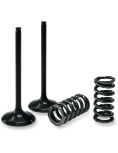 Ventil- und Federnsatz