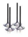 Titanium Ventil