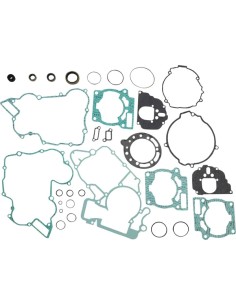 Komplettes Dichtungssatz