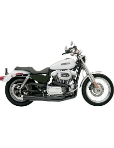 Road Rage 2:1 XL Auspuff