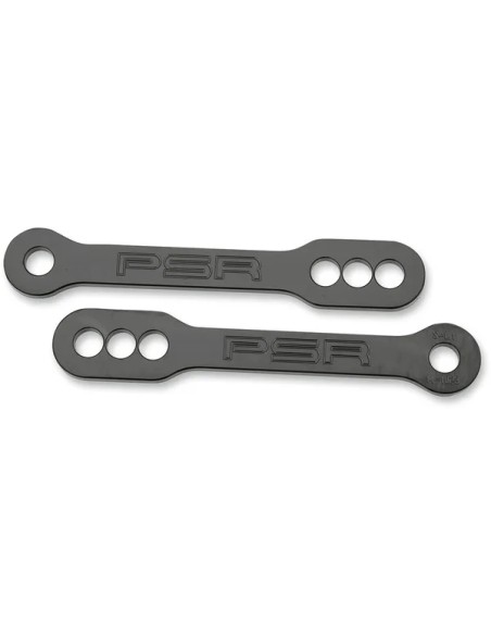 PSR Federung hinten für SUZUKI GSX 1300 R 1999-2012