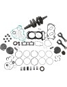 Motor-Überholungssatz