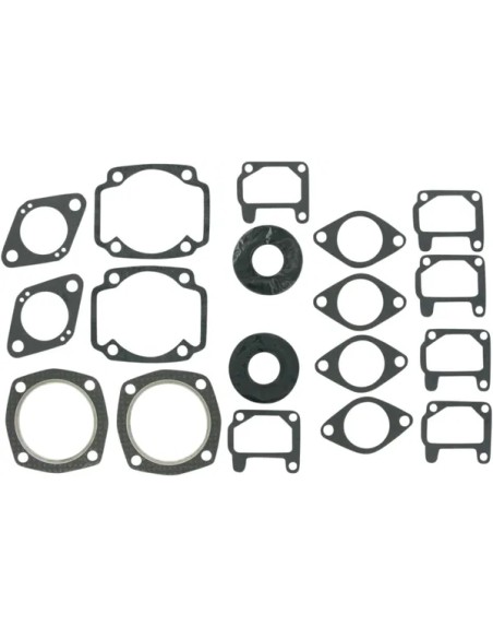 VERTEX Dichtungen & Öldichtungen für ARCTIC CAT PANTHER 440 1971-1975