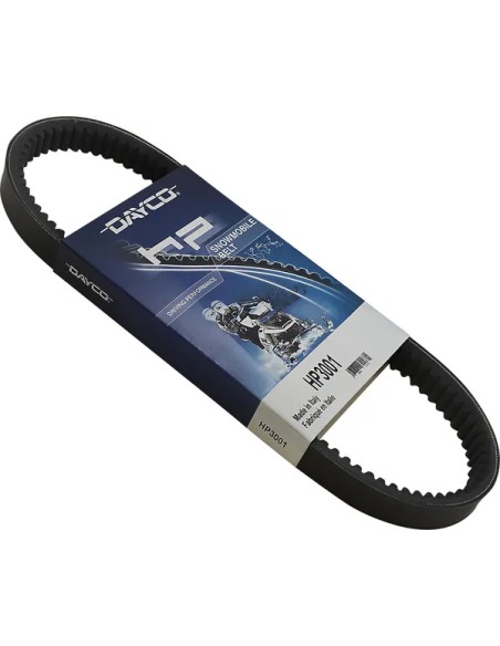 DAYCO PRODUCTS LLC Riemen für SKI-DOO (BRP) ELAN 250 1975-1996