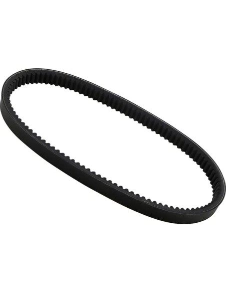 DAYCO PRODUCTS LLC Riemen - Detailansicht