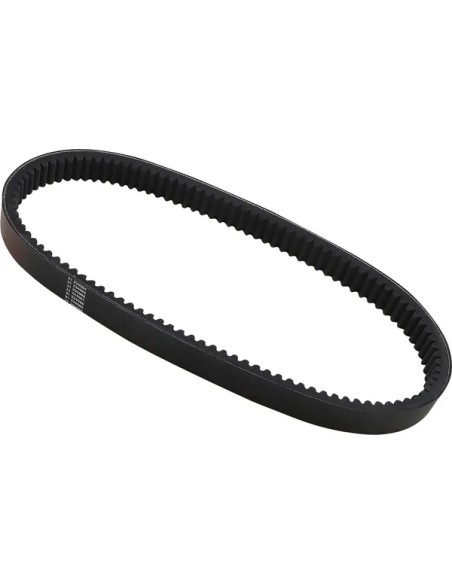DAYCO PRODUCTS LLC Riemen - Detailansicht