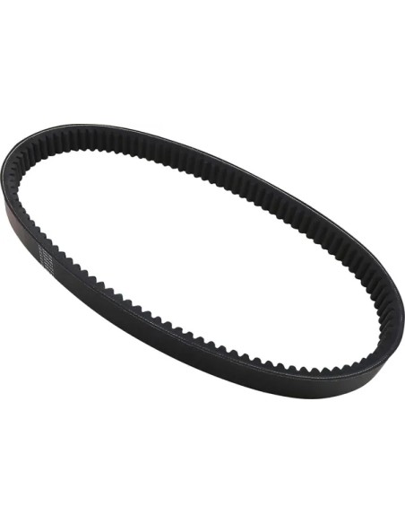 DAYCO PRODUCTS LLC Riemen - Detailansicht