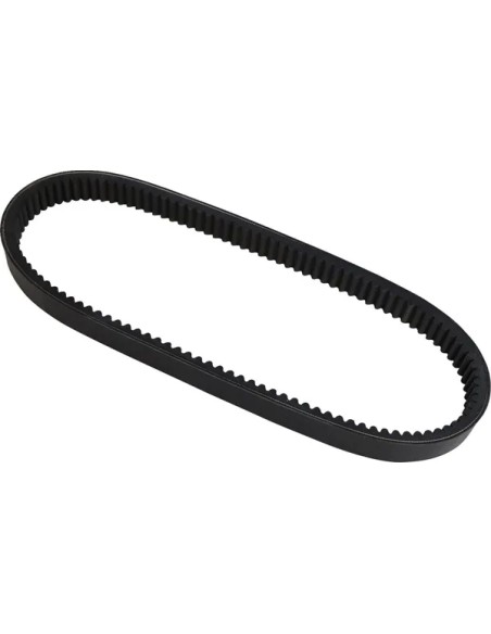 DAYCO PRODUCTS LLC Riemen - Detailansicht