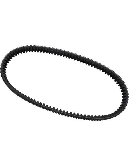DAYCO PRODUCTS LLC Riemen für ARCTIC CAT BEARCAT 660 2004-2008