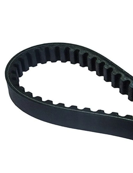 DAYCO PRODUCTS LLC Riemen für PEUGEOT VIVACITY 50 1999-2004