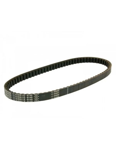 DAYCO PRODUCTS LLC Riemen für MALAGUTI F10 50 2002-2010