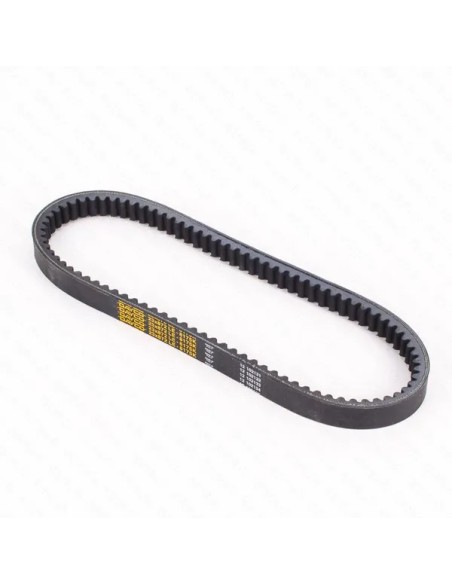 DAYCO PRODUCTS LLC Riemen für YAMAHA YP 250 1996-2003