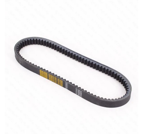 DAYCO PRODUCTS LLC Riemen für YAMAHA YP 250 1996-2003