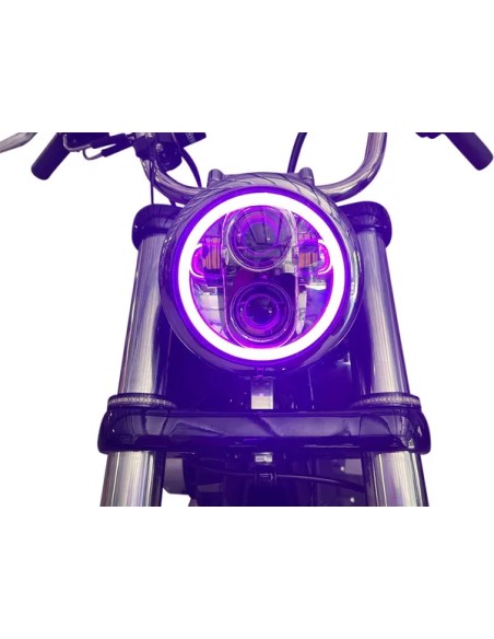 CUSTOM DYNAMICS Scheinwerfer - Detailansicht