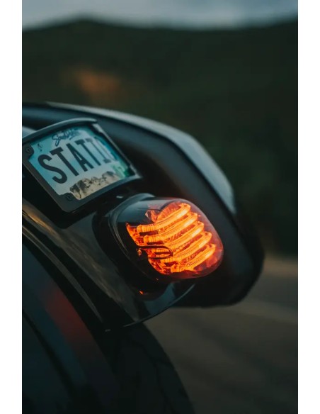 CUSTOM DYNAMICS Rück- und Bremslichter Bild 12