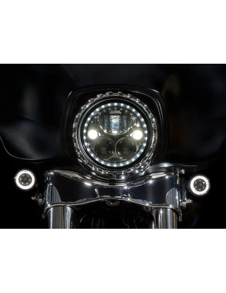 CUSTOM DYNAMICS Blinker Bild 5