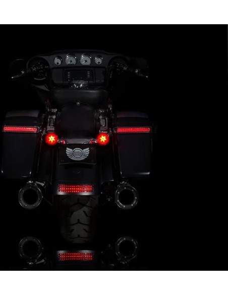 CUSTOM DYNAMICS Blinker - Detailansicht