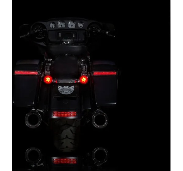CUSTOM DYNAMICS Blinker - Detailansicht