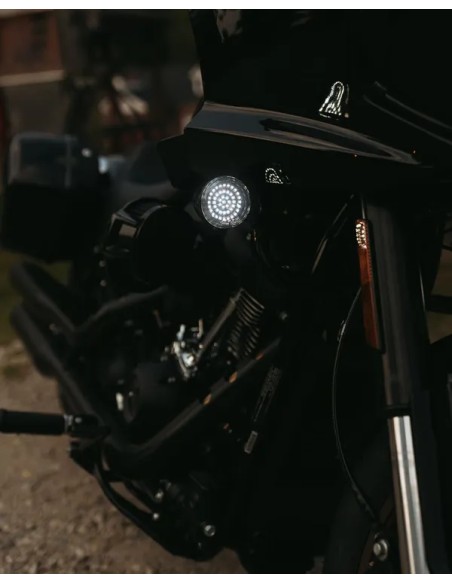 CUSTOM DYNAMICS Blinker Bild 6