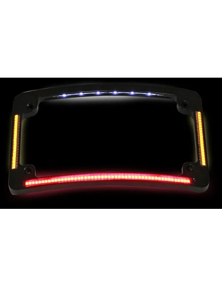 CUSTOM DYNAMICS Kennzeichen - Detailansicht